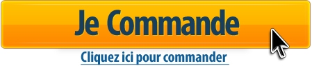 Commander Comment Transformer Votre Blog en Machine à Faire du Cash